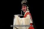 谢瑶环