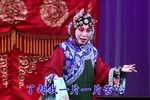 丝弦戏花烛恨 新版