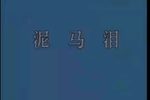 泥马泪