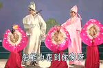 桂剧·十八相送
