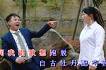 啄不赢你心不甘