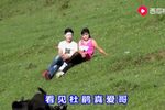 大方百里杜鹃花