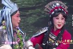 官鹅情歌下载