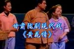 黄花情下载