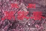 万家春