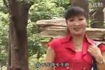 贪污腐败落法网下载