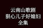 狠心儿子好儿媳 全集