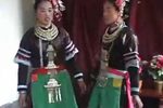 五女拜寿下载