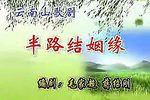 半路结姻缘 全剧