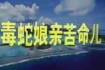 狠毒母亲可怜儿 全剧 高清修复版下载