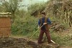 云南山歌剧 全集
