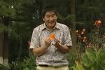 花心男人裤带松下载