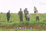 花心婆娘爱帅哥 全剧完整版