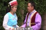 蜜蜂不采落地花下载