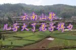 儿子大了老子得力 全集