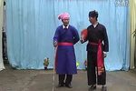 蔡龙府 全剧