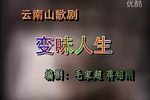 变味人生下载