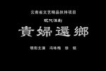 贵妇还乡