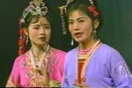 金花银花下载