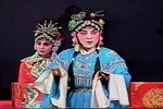 狸猫换太子 上本全剧下集