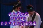 窦娥冤