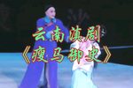 瘦马御史