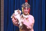 打瓜招亲下载