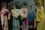 林攀桂与杨桂英 全剧
