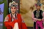 借亲配 上集