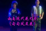 甸甸凤尾花