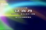 辽宫月 全本高清