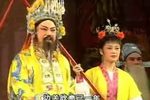 打金枝
