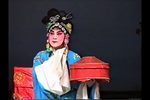 狸猫换太子 选段二