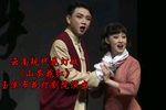 山茶花红