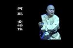百年苍翠 21.