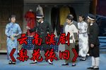 梨花依旧