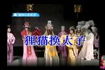狸猫换太子 全集
