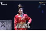 喜事双飞 全本下载