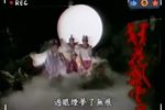 狂花飘云梦 16—35集下载