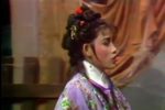 孟丽君 2-4集