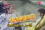情海断肠花下载
