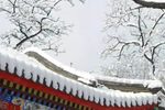 阿婆兰》