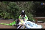 梦里桃花 第十集 2016