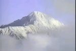 蛇郎君 全剧