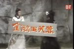 金雕玉芙蓉 全40集下载