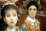 才子佳人之金枝玉叶 全集