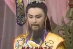 梅花落下载
