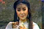 彩云天涯 22（华视官方版）