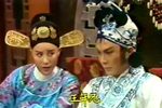 孟丽君下载