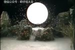 狂花飘云梦下载